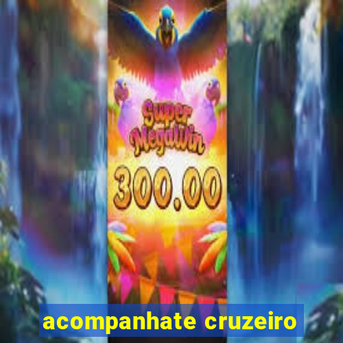 acompanhate cruzeiro